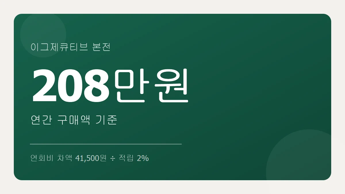 코스트코 이그제큐티브는 연 208만원을 써야 본전