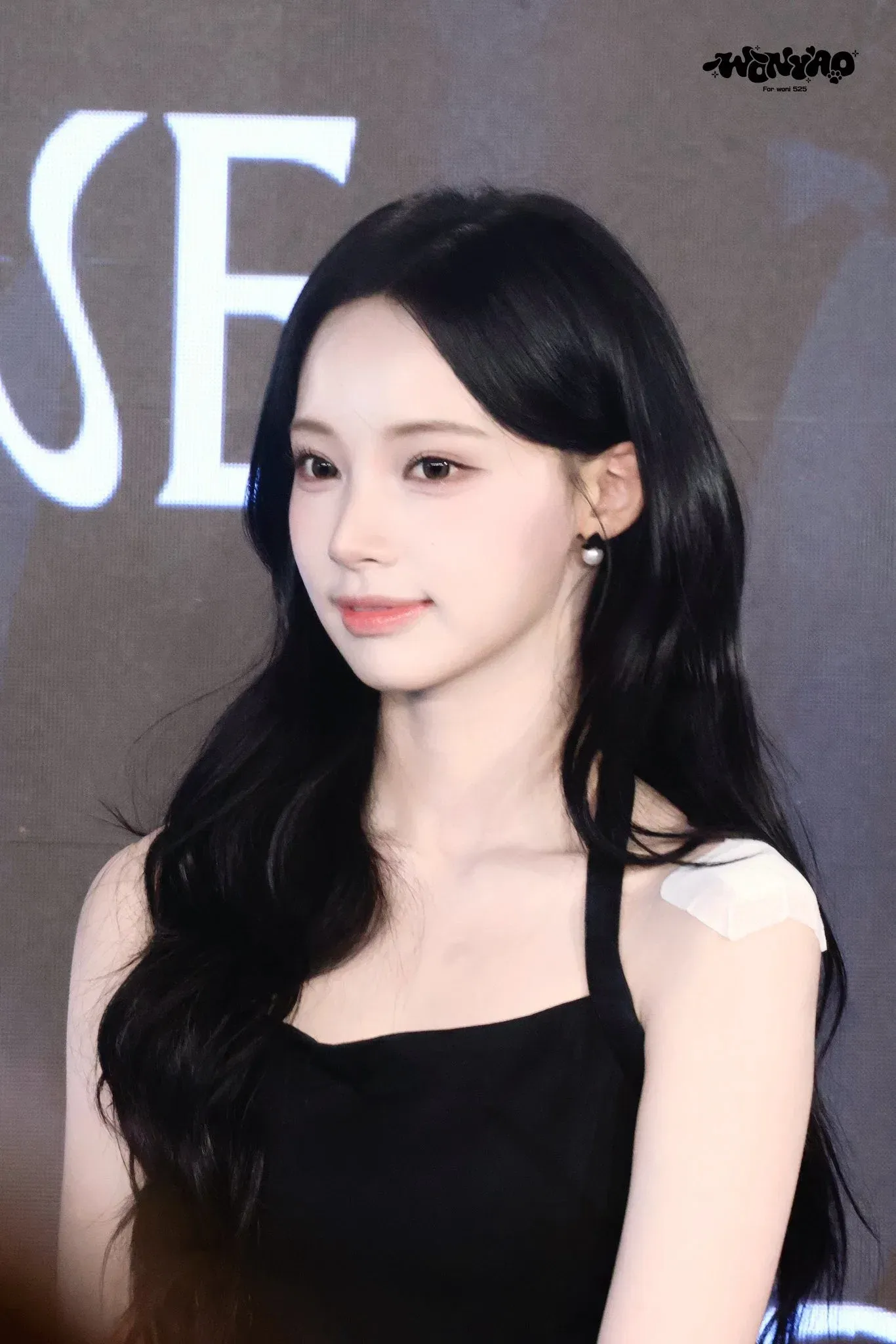 비주얼픽 2